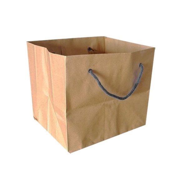 Paper-bags-for-Shopping-1